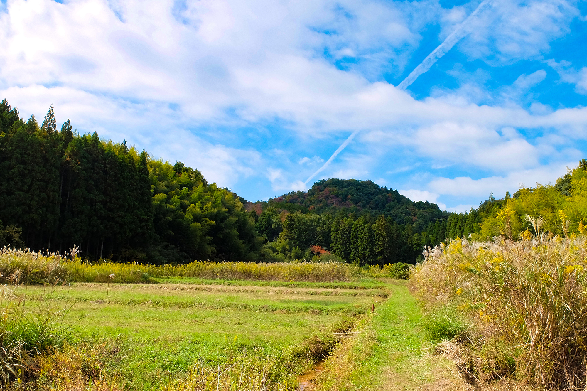 佐和山城跡